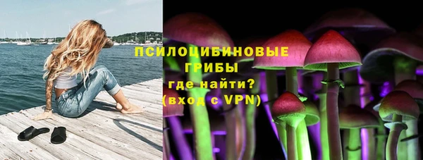 дурь Корсаков