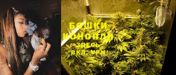 дурь Корсаков