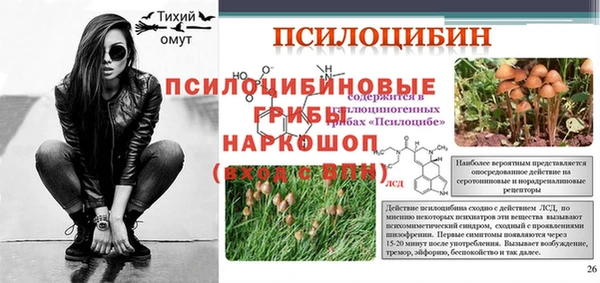 ешки Кодинск